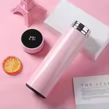 Digital LED display steel waterbottle 500ml