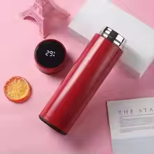 Digital LED display steel waterbottle 500ml